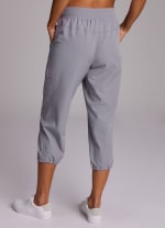 Dolphin Grey